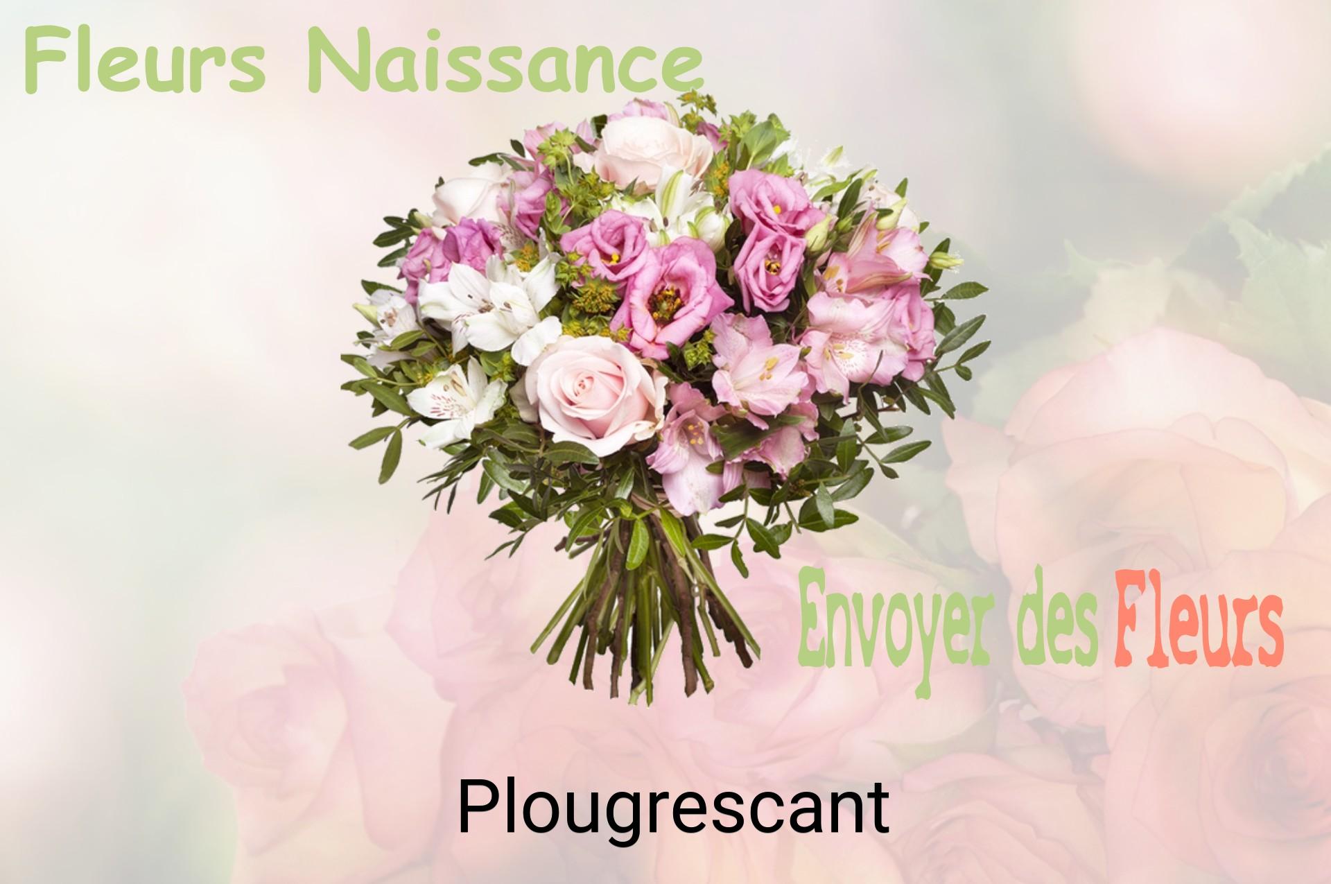 Bouquet de fleurs de naissance livré à Plougrescant