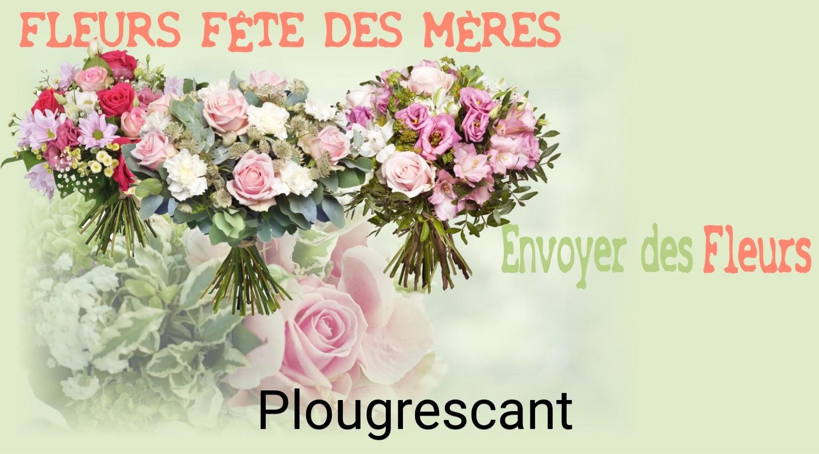 Bouquet de Fête des Mères livré à Plougrescant